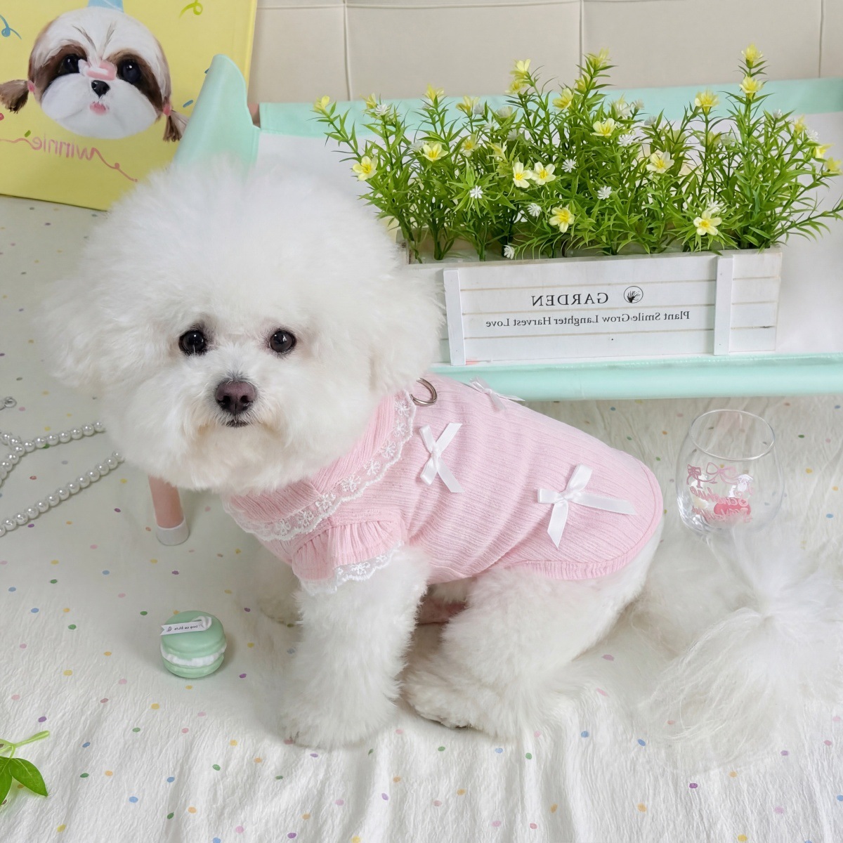 Maglietta per Cani con Fiocco  - Lace Teddy Lingerie recensione e prezzo