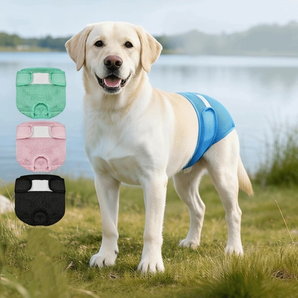 Pannolini per Cani in Rete Tra - Period Panty Absorbent recensione e prezzo