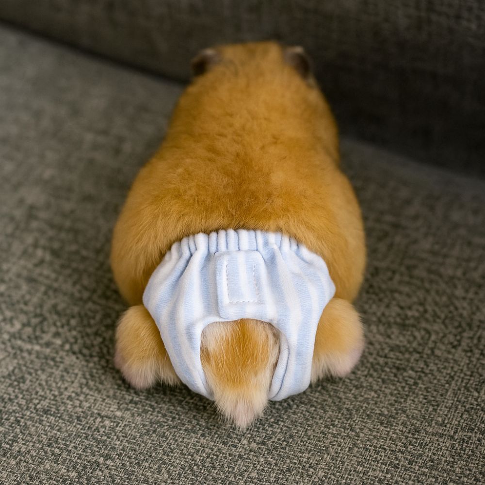 Pannolini Assorbenti per Scoia - Period Panty Absorbent recensione e prezzo